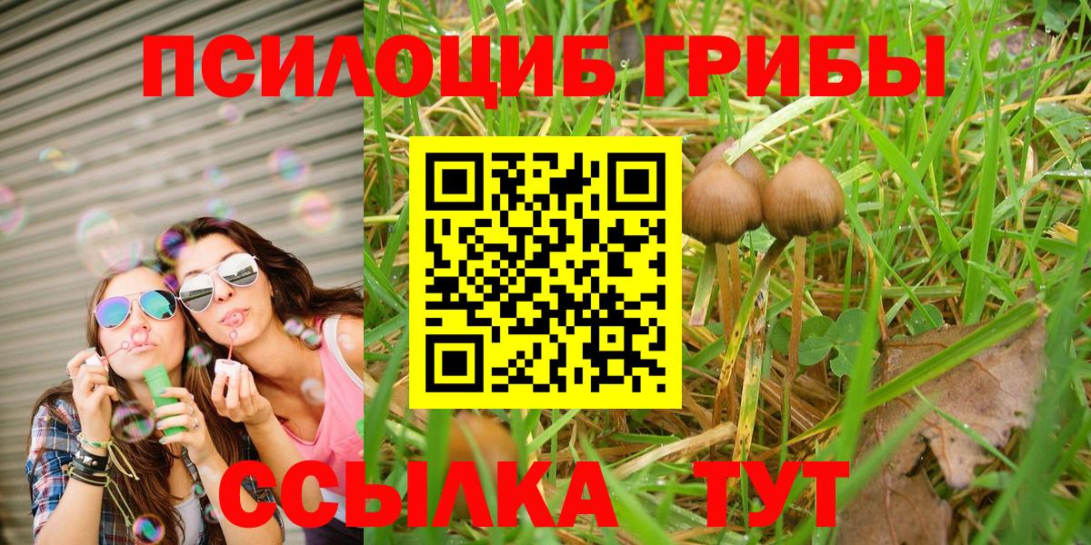 Югорск  Галлюциногенные грибы Cubensis  Галлюциногенные грибы Magic Shrooms  Вход с VPN 